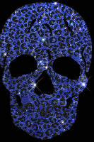 Leopard Gold Skull Pullover